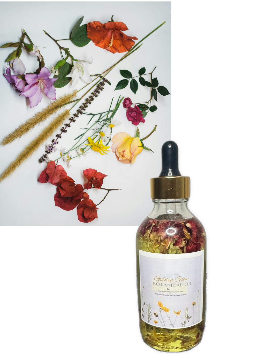 Botanical Body oil - Face and Body Oil 4oz | Body Moisturizer | Moisturizer Oil | Hydrating Body Oil | Hydrating Face Oil | Body Oil to reduce wrinkles